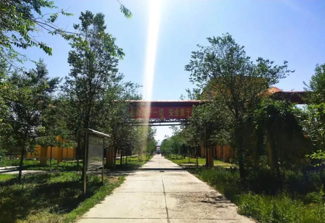宝石花·有声 | 十年，我爱上了你——恒盛